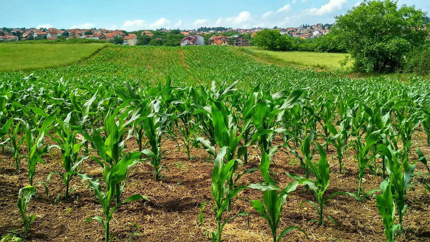 Zuri Gardens Phase 1 - Premium plots in Ruiru